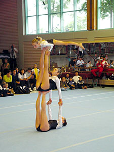 Mayer/Pich/Walcher